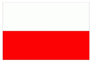 Flaga polski - na dole czrwony prostokąt na górze biały